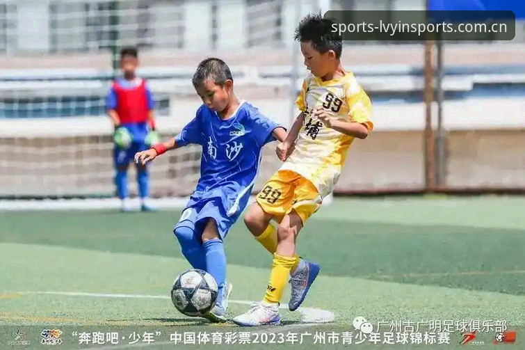 绿茵竞技官网 绿茵体育平台深度评测:从入门到精通的全方位体验报告